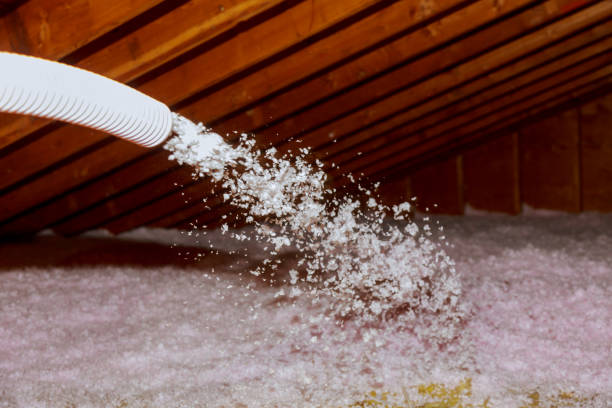 Best Energy Efficiency Insulation in Manawa, WI